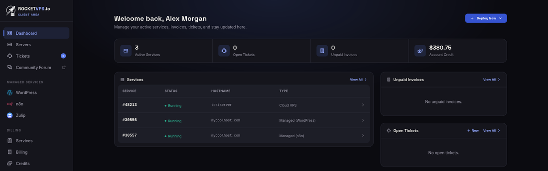 RocketVPS client dashboard overview
