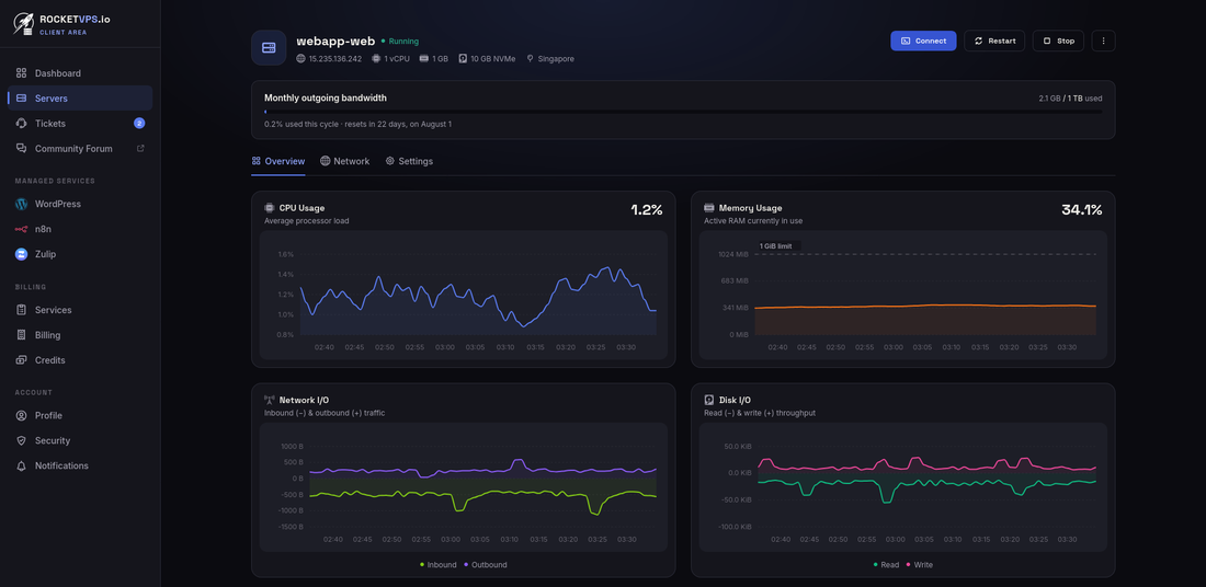 RocketVPS server monitoring charts